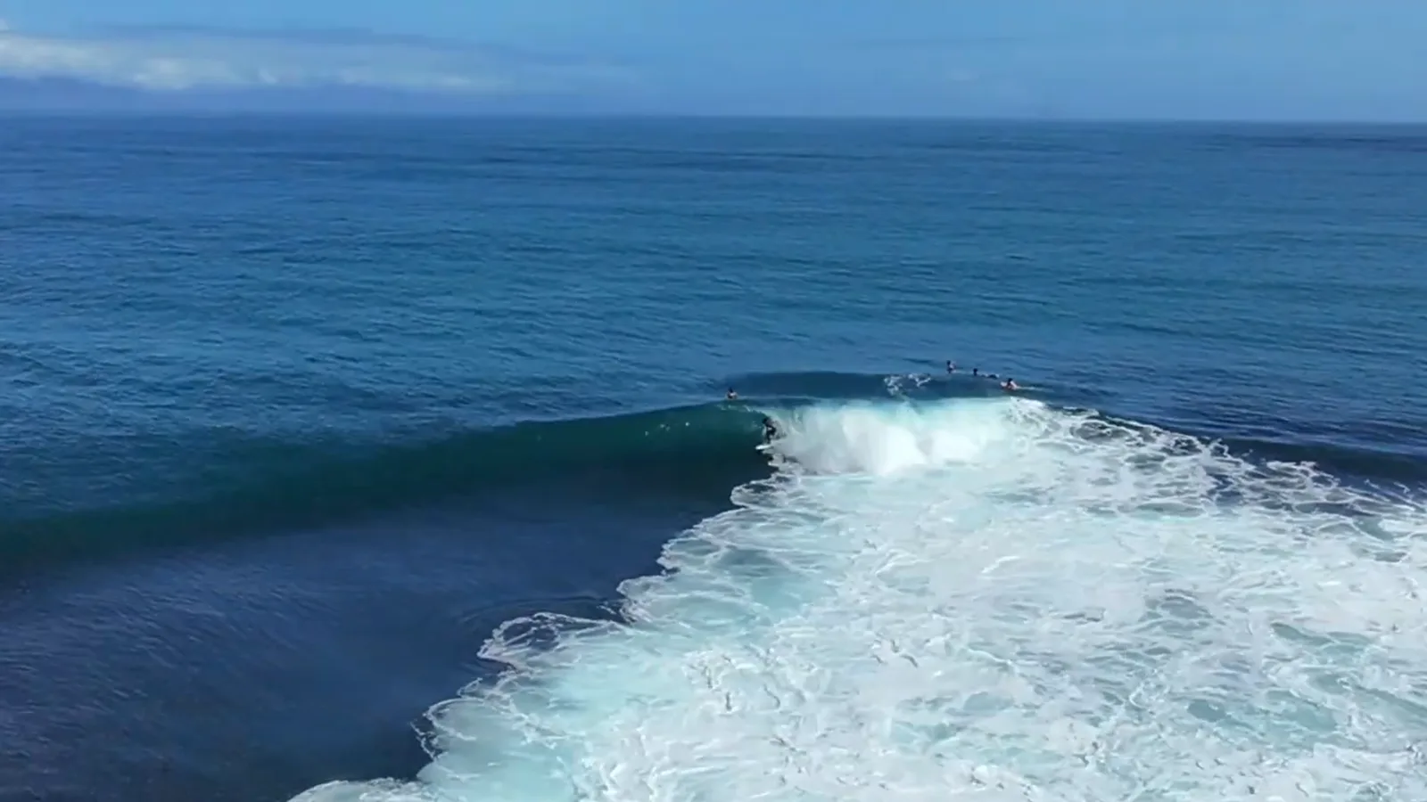 Pumping Cobra Reef