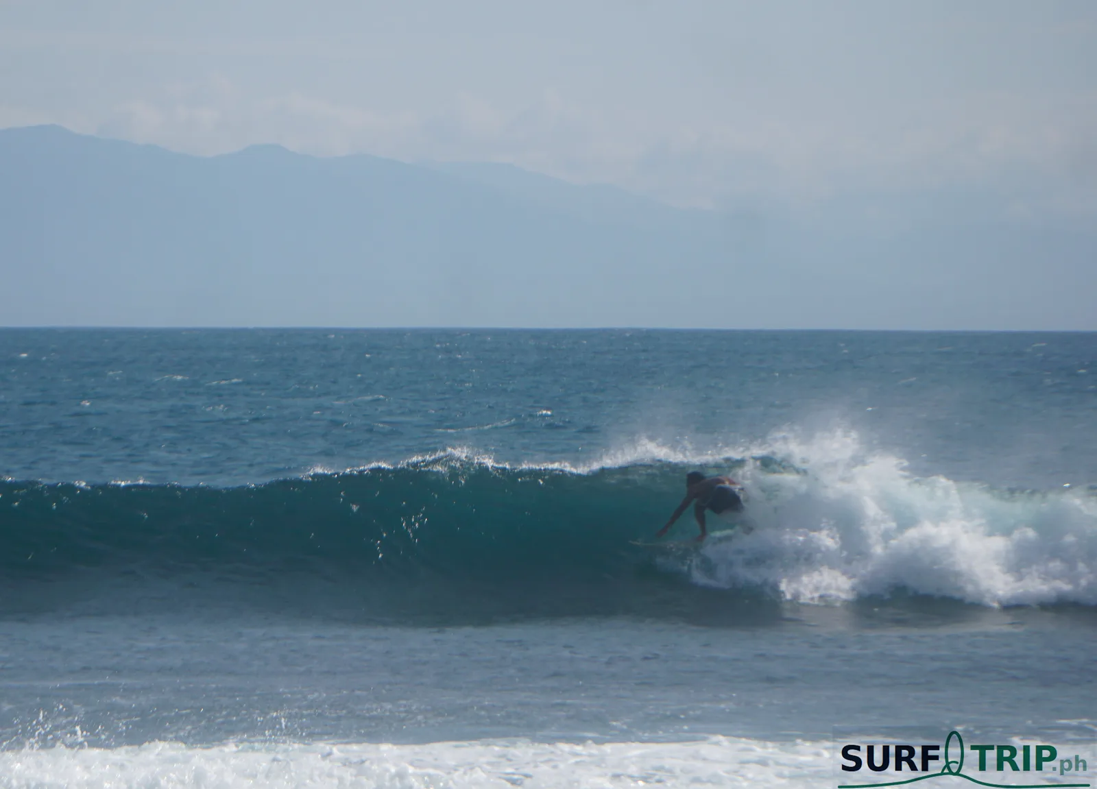Cobra Reef - Bowl - Typhoon Domeng #2