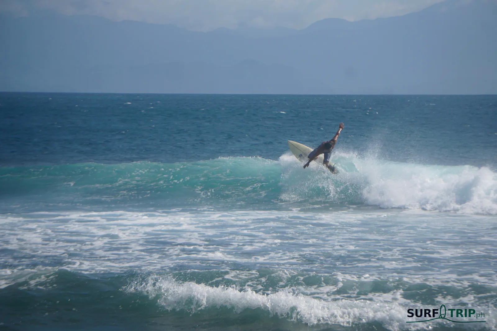 Cobra Reef - Bowl Photo - Typhoon Domeng