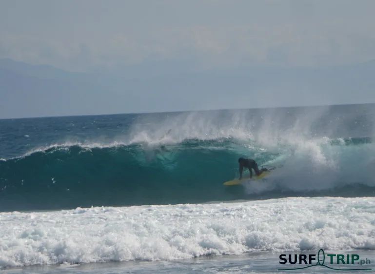 Cobra Reef - Bowl - Typhoon Domeng Image 3